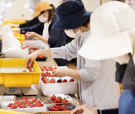 生産者画像