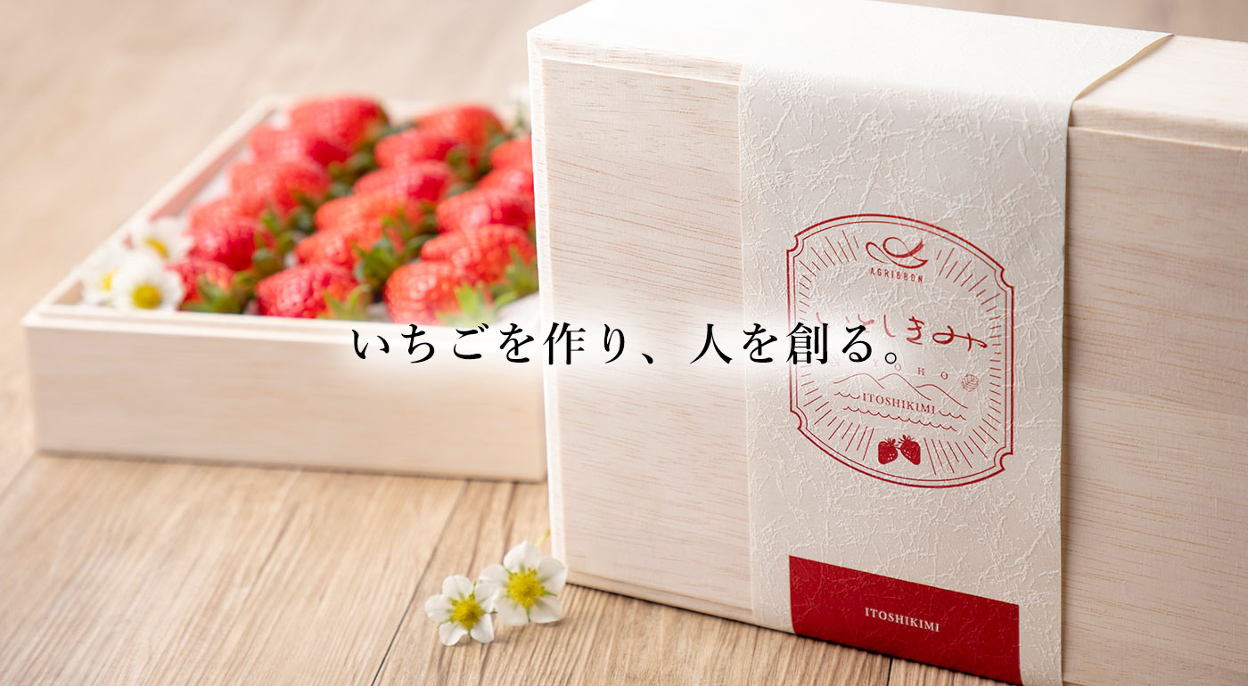 メインイメージ1